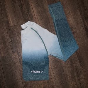 Gymshark Ombre Seamless Crop Top